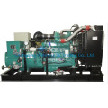 Ly6LG160kw Conjunto de gerador de gás de alta qualidade Eapp